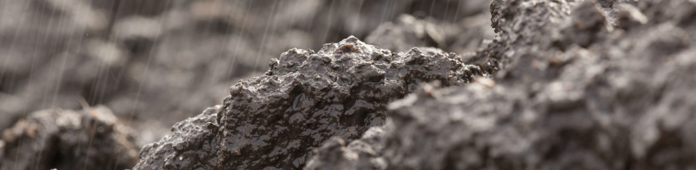 weather fit for purpose soil